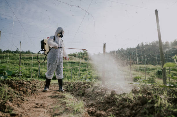 Best Ant Control Services  in West Yarmouth, MA