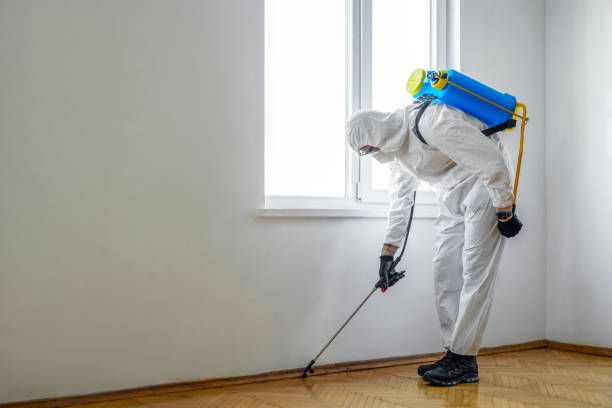 Best Best Pest Control Companies  in West Yarmouth, MA