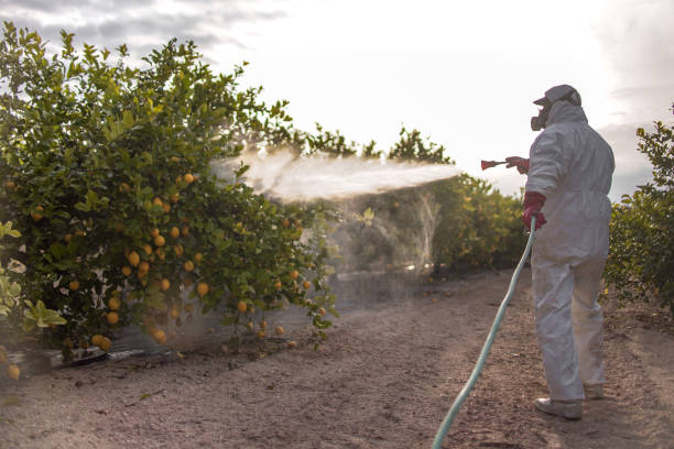 Pest Control for Restaurants in West Yarmouth, MA