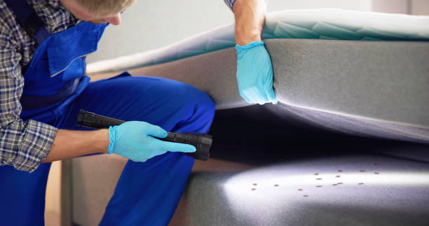Wasp Removal Services in West Yarmouth, MA