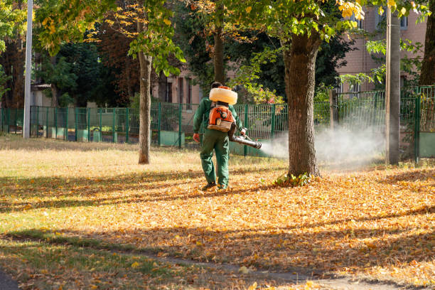 Best Flea Control Services  in West Yarmouth, MA