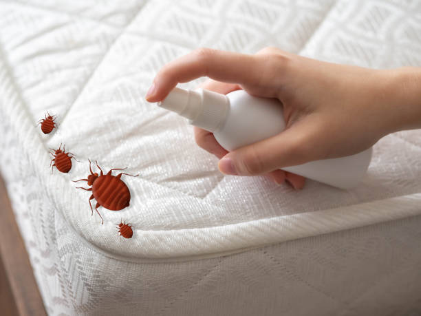 West Yarmouth, MA Pest Control Company